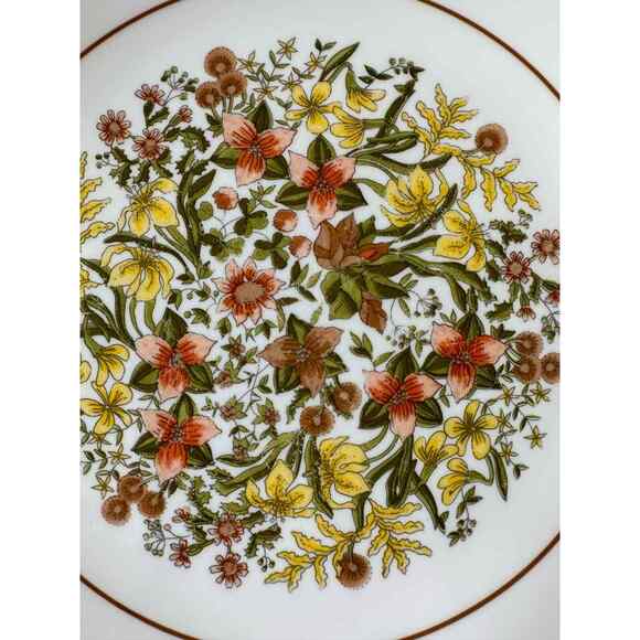Vintage Corelle Indian Summer Dinner plate, 10.25 inch diameter, One Plate - Picture 5 of 7